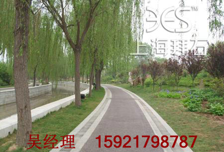 56061727.jpg 56061727.jpg