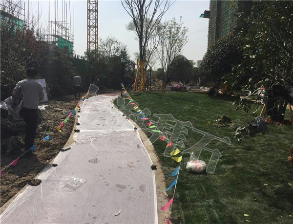 mmexport1492153630563.jpg mmexport1492153630563.jpg