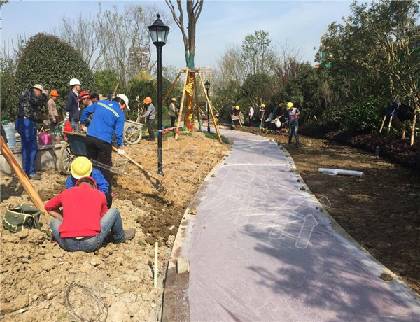 mmexport1492153632910.jpg mmexport1492153632910.jpg