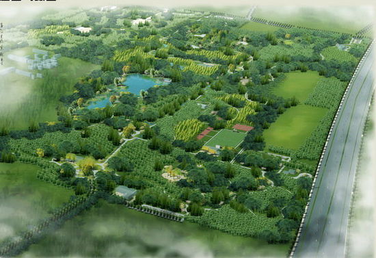 浦江.jpg 浦江.jpg