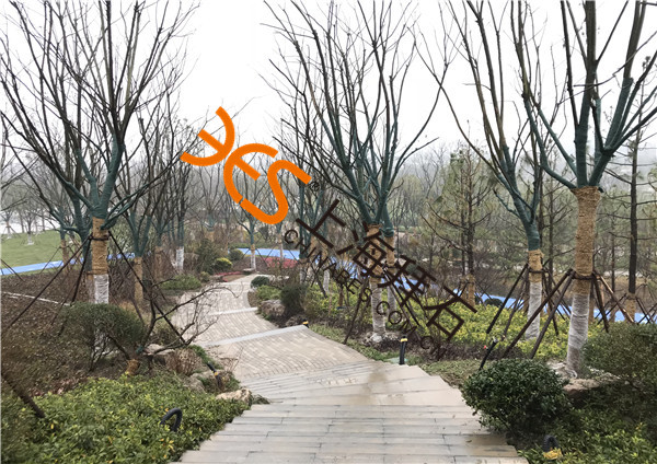 熒光陶粒路面.jpg 熒光陶粒路面.jpg