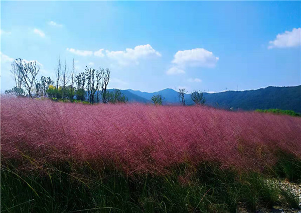 微信圖片_20191031144827.jpg 微信圖片_20191031144827.jpg