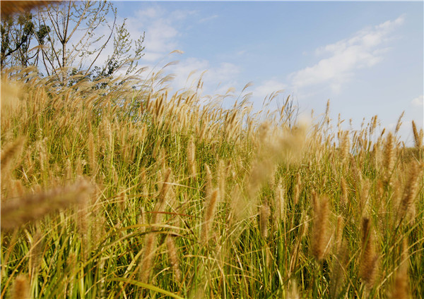 微信圖片_20191031164053.jpg 微信圖片_20191031164053.jpg