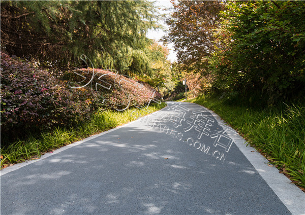 _MG_0687.jpg _MG_0687.jpg