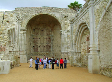 生態(tài)素土 生態(tài)素土