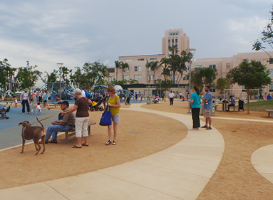 生態(tài)素土 生態(tài)素土