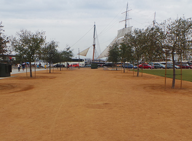 生態(tài)素土 生態(tài)素土