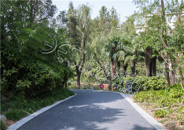 彩色混凝土路面