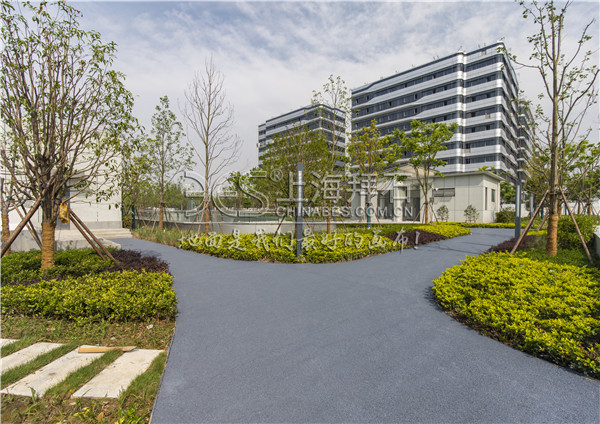 透水路面 透水路面