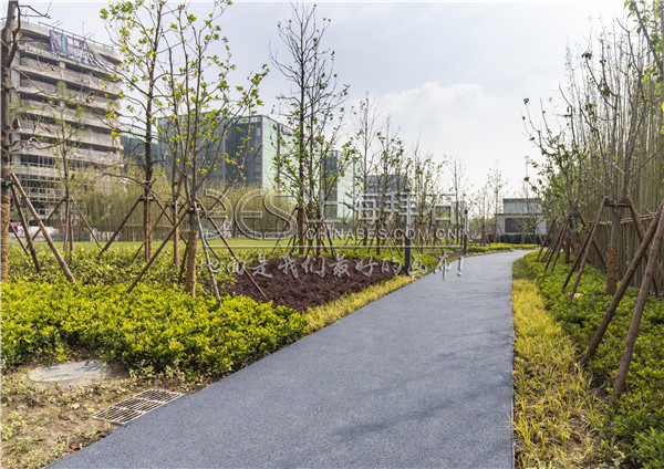 透水路面 透水路面