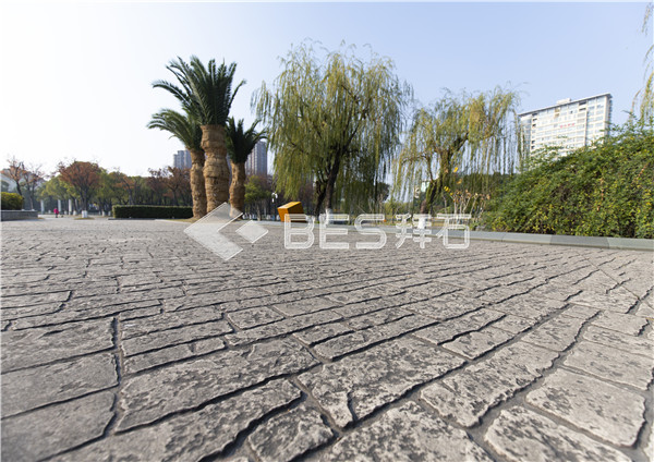 _MG_0494.jpg _MG_0494.jpg