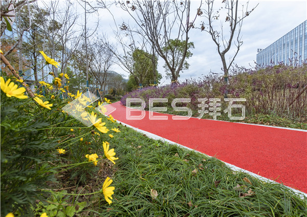 _MG_0355.jpg _MG_0355.jpg