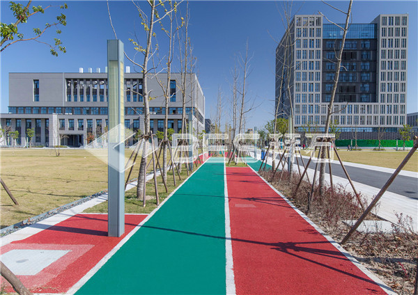 _M8A9998.jpg _M8A9998.jpg