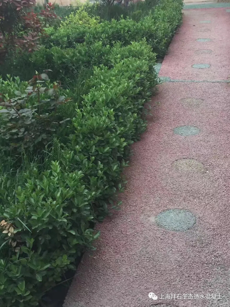 12.webp.jpg 12.webp.jpg