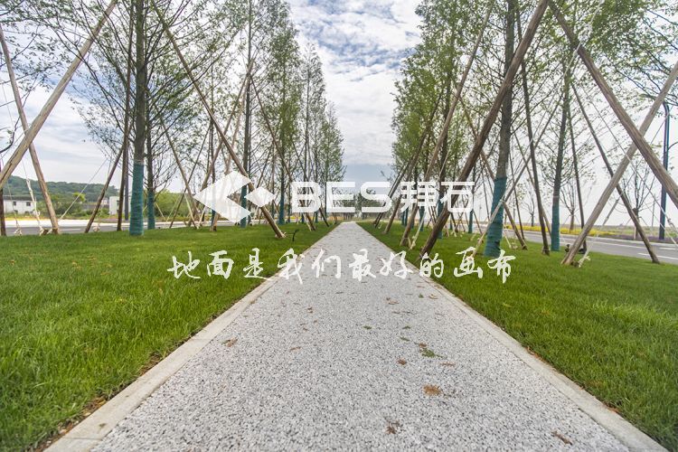 _MG_0995.jpg _MG_0995.jpg