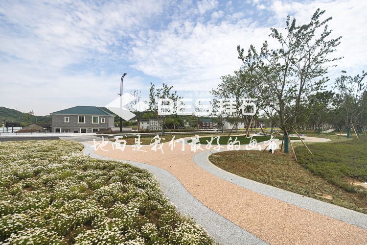 _MG_1012.jpg _MG_1012.jpg