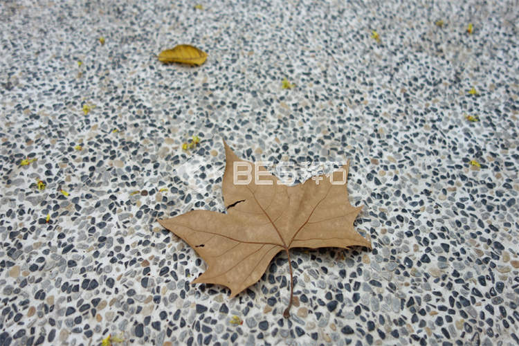 DSC03685.jpg DSC03685.jpg