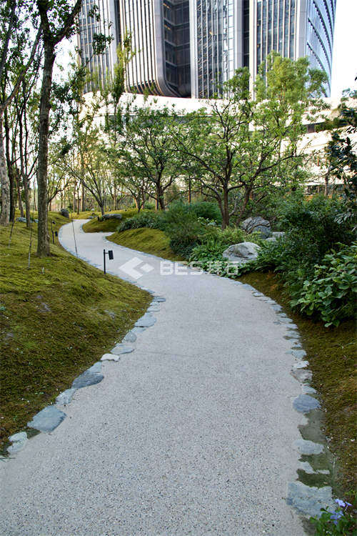 _M8A5204.jpg _M8A5204.jpg