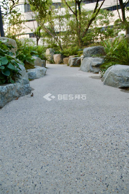 _M8A5216.jpg _M8A5216.jpg