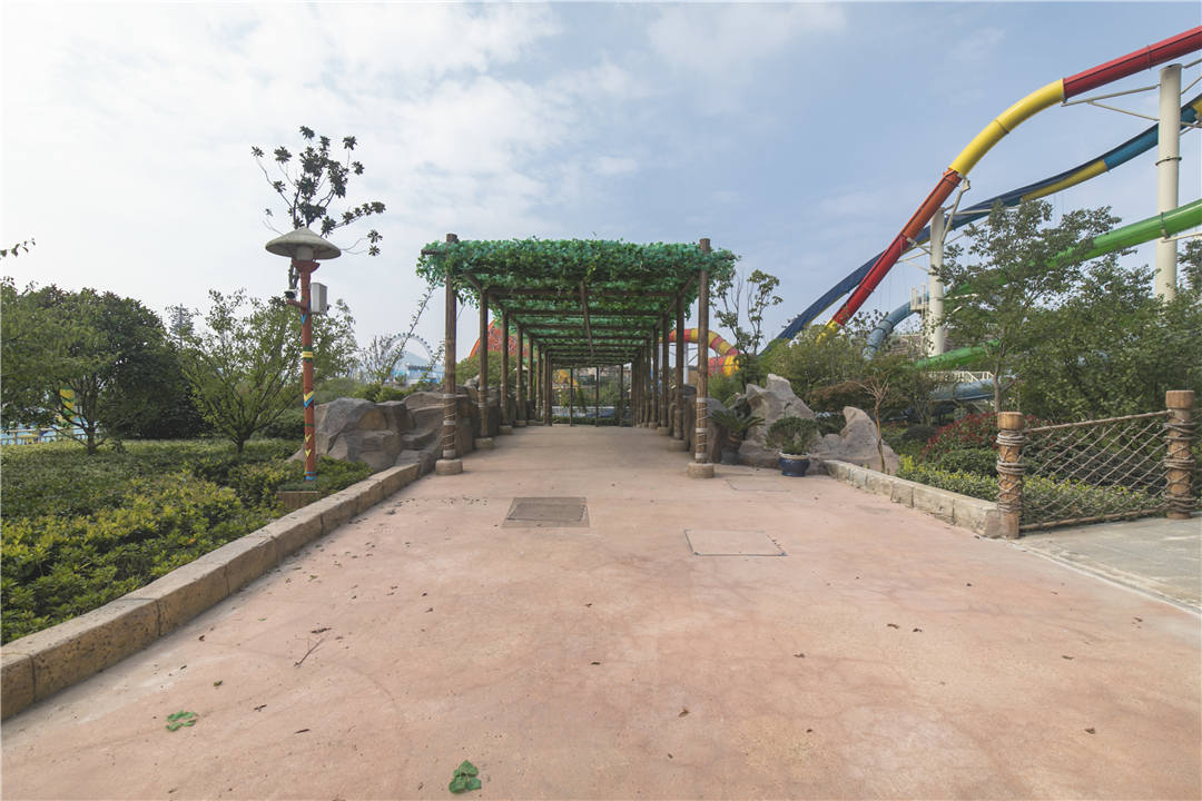 _MG_4081.jpg _MG_4081.jpg