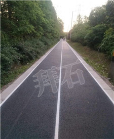 上海桃浦透水路面工程 上海桃浦透水路面工程