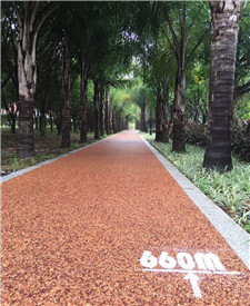 江蘇海鹽膠粘石透水混凝土！