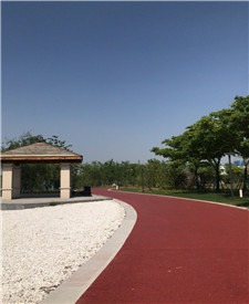 上海巨人網(wǎng)絡彩色透水砼項目 上海巨人網(wǎng)絡彩色透水砼項目