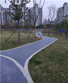 上海盤古公園透水路面項目 上海盤古公園透水路面項目