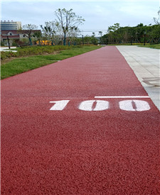 上海浦東聽潮路彩色透水地坪項(xiàng)目