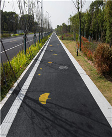 上海金融小鎮(zhèn)透水混凝土項目 上海金融小鎮(zhèn)透水混凝土項目