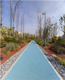 上海青浦博覽會(huì)公園彩色透水地坪項(xiàng)目